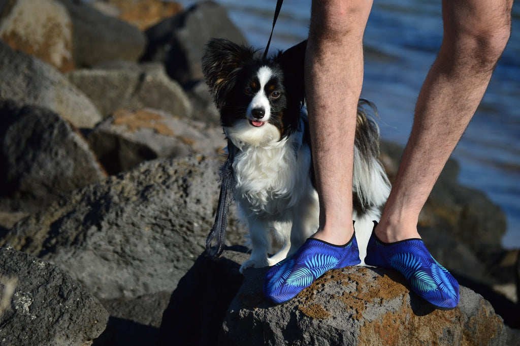 chillbo-sock-shoes-water-footwear-for-women-water